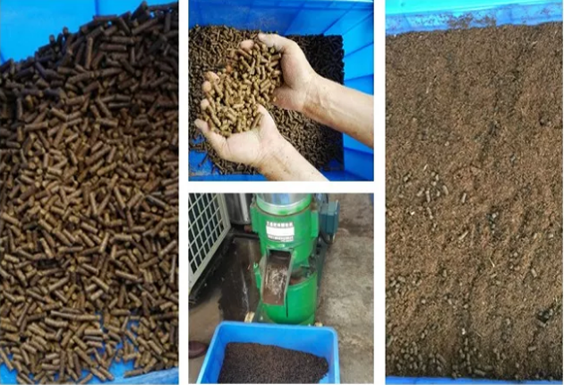 垃圾“圍城” ，易腐垃圾資源化處理成為突破口