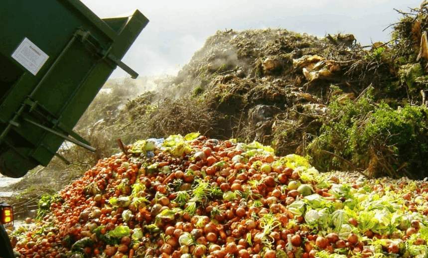 如何進(jìn)行無害化果蔬垃圾處理？